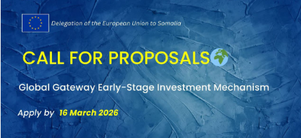 Küresel Geçit Erken Aşama Yatırım Mekanizması (Global Gateway Early-Stage Investment Mechanism) Proje Hazırlığı Destek Çağrısı Açık!